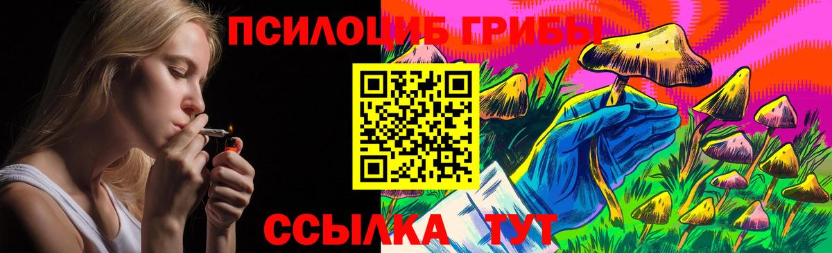 Псилоцибиновые грибы прущие грибы Нальчик