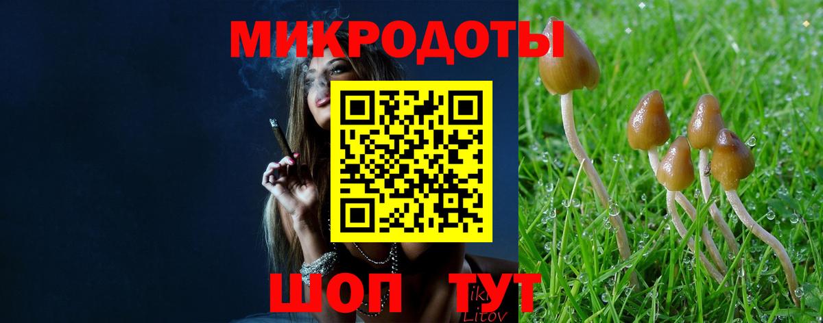 Галлюциногенные грибы прущие грибы  Вход с VPN  Нальчик  наркота  Псилоцибиновые грибы Psilocybe 